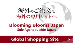 Global shopping site
